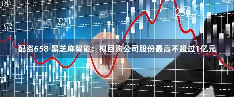 配资658 黑芝麻智能：拟回购公司股份最高不超过1亿元