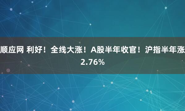 顺应网 利好！全线大涨！A股半年收官！沪指半年涨2.76%