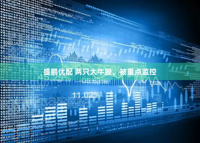 盛鹏优配 两只大牛股，被重点监控