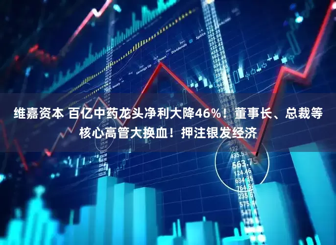 维嘉资本 百亿中药龙头净利大降46%！董事长、总裁等核心高管大换血！押注银发经济